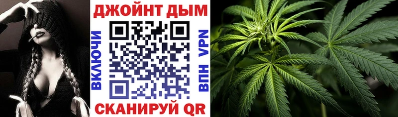 МЕГА ТОР  Камышин  Канабис планчик 